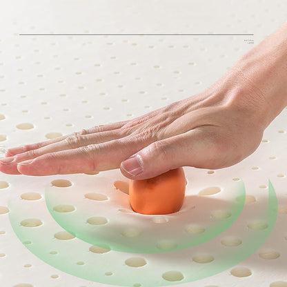 ARyako 100% Natural Latex Mattress Topper - Firm - 1/2 Inch - Twin Size - Organic Cover Included.,1in,180x200cm(71x79in)