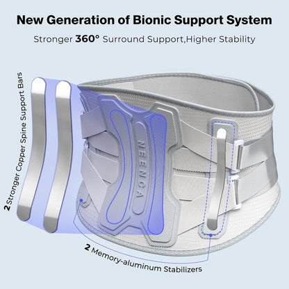 NEENCA Back Brace for Lower Back Pain Relief with Bionic Support System, Lumbar Support Belt for Women&Men with Lumbar Pad, Soft Breathable 3D Knit Fabric for Herniated Disc, Sciatica, Scoliosis
