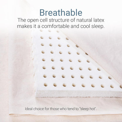 Foamma Dunlop Organic Latex Mattress Topper - Single - Medium-Firm Foam Topper Made from 100% Organic Latex Foam - GOLS Certified, Durable, Cooling, and Breathable